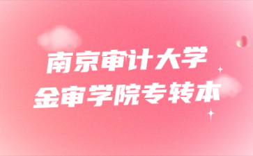 2023年南京审计大学金审学院专转本招生简章